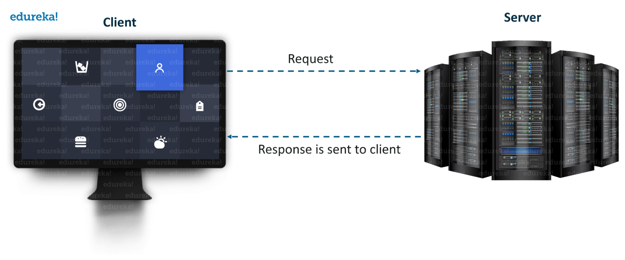 Socket Programming Project